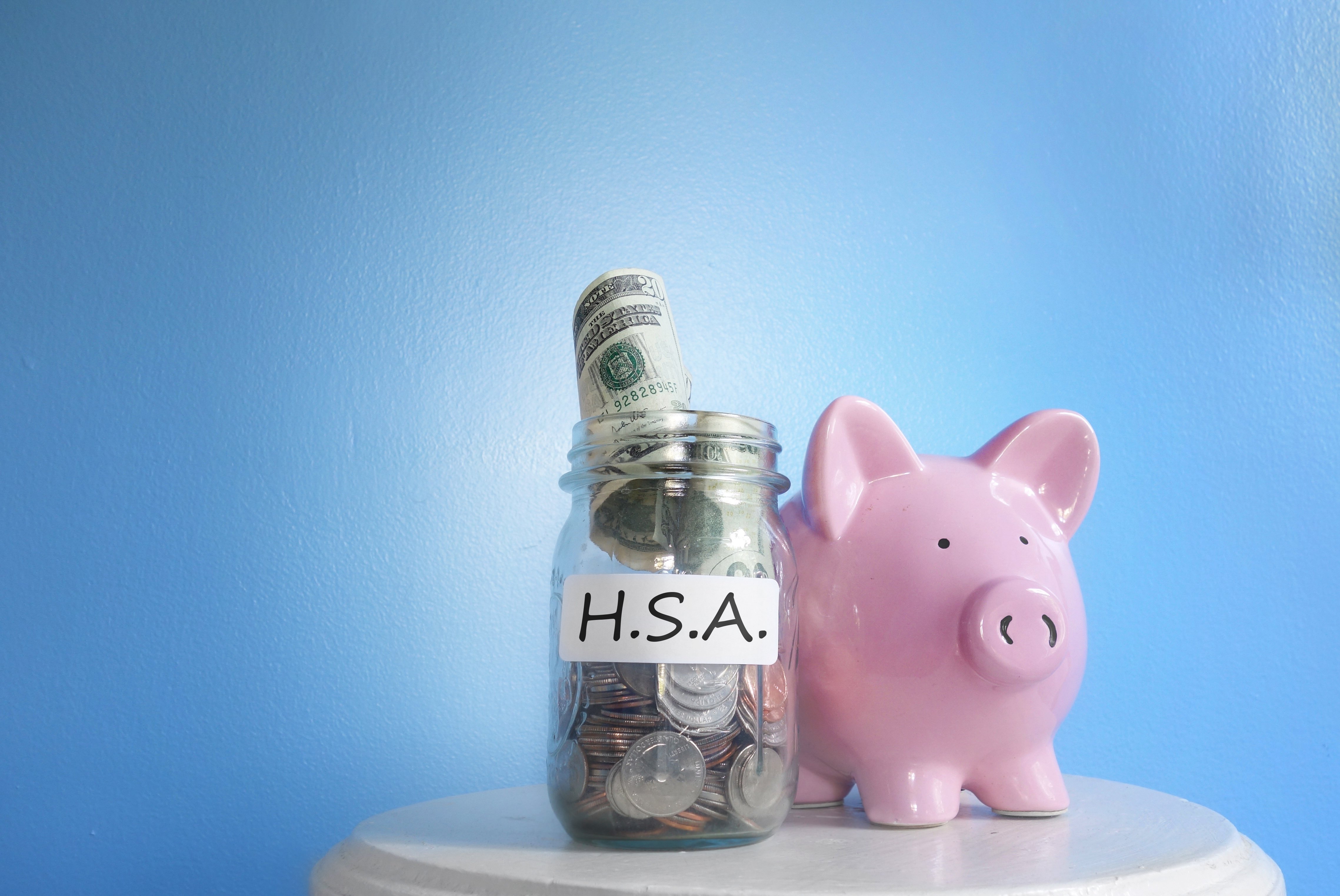 HSA piggy bank 1160993010